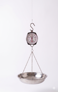 Báscula con Plato 25KG Gynipot